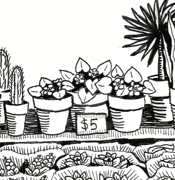 Floral Department Coloring Page