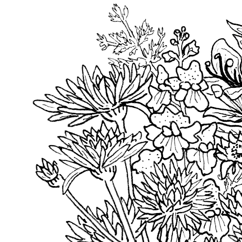 Mason Jar Bouquet Coloring Page
