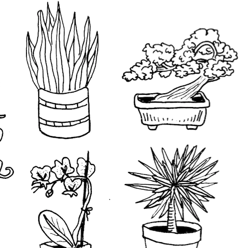 Potted plant collection coloring page