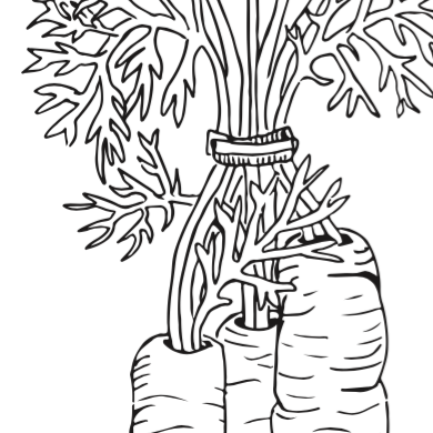 root vegetable collection Coloring Page